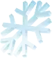 Ice icon