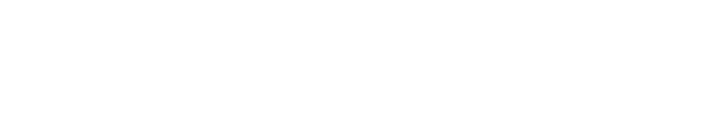 Palm Air